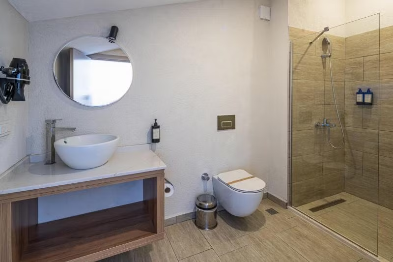 Terrace Suite Room